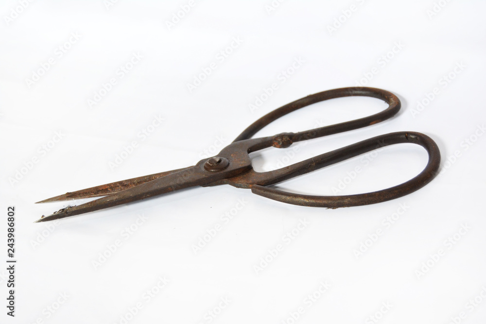 Old scissor on white background Old scissor on white background