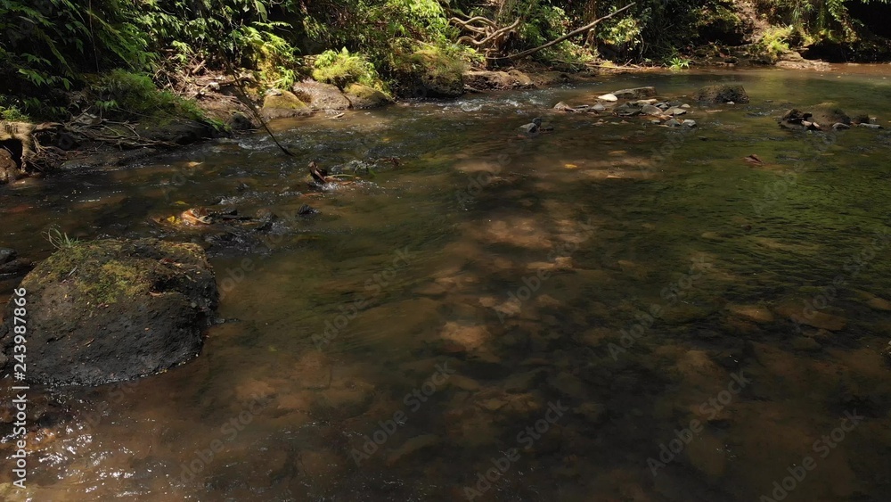 4K flying drone video over the mountain river in the jungle of Bali island, Indonesia. Travelling Asia. Deep rainforest, flowing water, wild nature. 4K flying drone video over the mountain river in the jungle of Bali island, Indonesia. Travelling Asia. Deep rainforest, flowing water, wild nature.