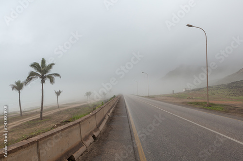 Coastal road near Salalah, Dhofar Province, Oman, during Khareef monsoon season photo