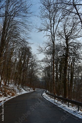 Road in the winter forest. No one. Snow on the branches of trees. Winter sunny day.