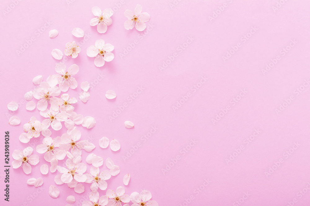 cherry flowers on paper background