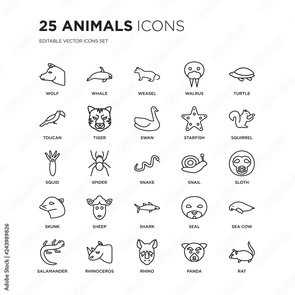 Set of 25 animals linear icons such as Wolf, Whale, weasel, Walrus, Turtle, Squirrel, Sloth, Sea cow, Rhinoceros, Rat, vector illustration of trendy icon pack. Line icons with thin line stroke.