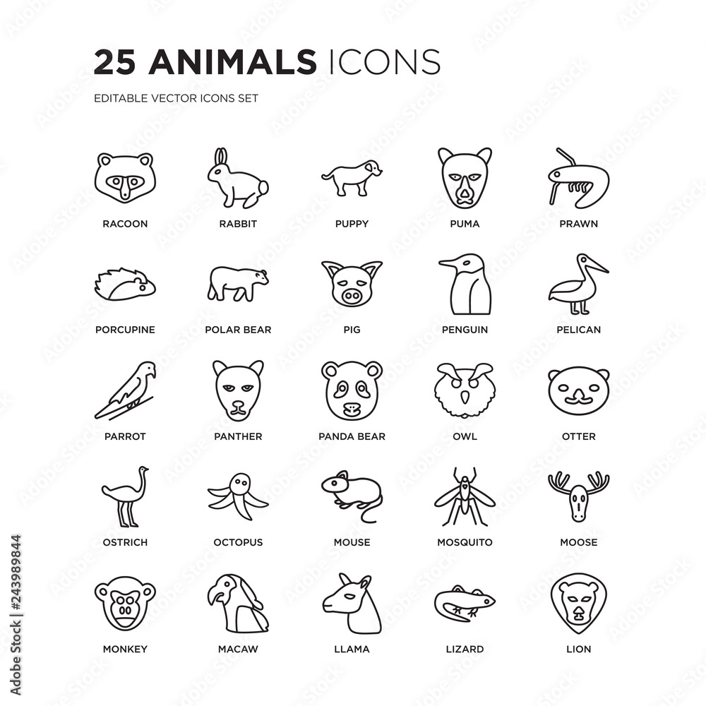 Set of 25 animals linear icons such as Racoon, Rabbit, puppy, puma, Prawn, Pelican, Otter, Moose, Macaw, Lion, vector illustration of trendy icon pack. Line icons with thin line stroke.