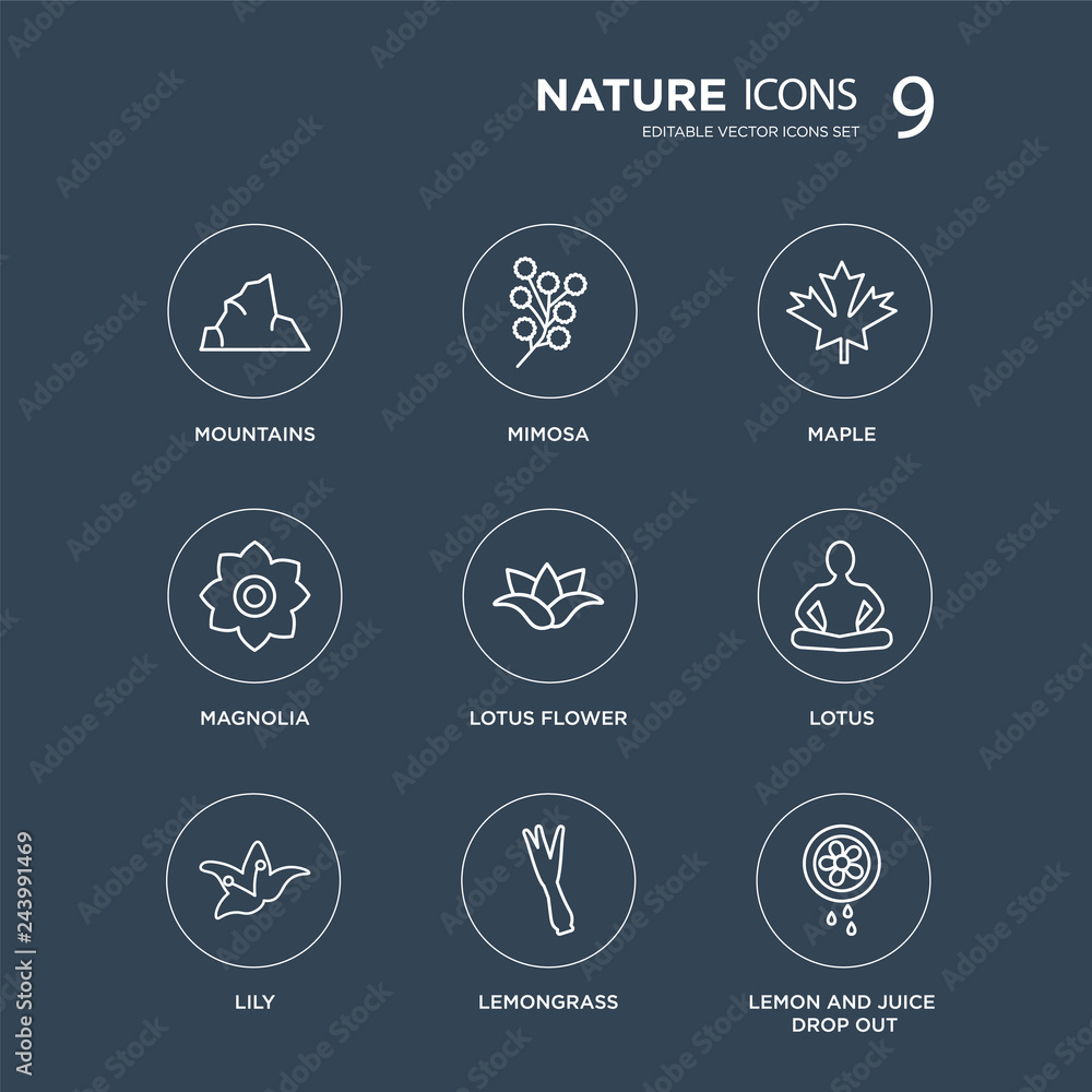 9 Mountains, Mimosa, Lily, Lotus, Lotus flower, Maple, Magnolia, Lemongrass modern icons on black background, vector illustration, eps10, trendy icon set. 9 Mountains, Mimosa, Lily, Lotus, Lotus flower, Maple, Magnolia, Lemongrass modern icons on black background, vector illustration, eps10, trendy icon set.