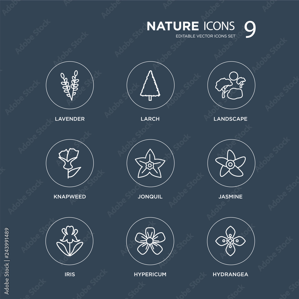 9 Lavender, Larch, Iris, Jasmine, Jonquil, Landscape, Knapweed, Hypericum modern icons on black background, vector illustration, eps10, trendy icon set. 9 Lavender, Larch, Iris, Jasmine, Jonquil, Landscape, Knapweed, Hypericum modern icons on black background, vector illustration, eps10, trendy icon set.