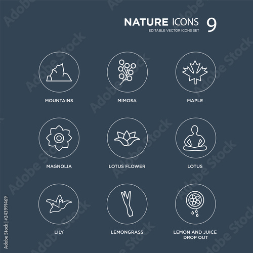 9 Mountains, Mimosa, Lily, Lotus, Lotus flower, Maple, Magnolia, Lemongrass modern icons on black background, vector illustration, eps10, trendy icon set.