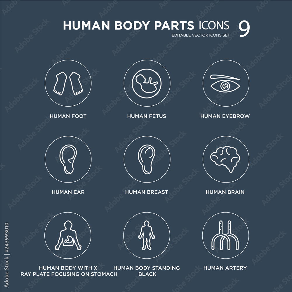 9 Human Foot, Fetus, body with x ray plate focusing on stomach, Brain, Breast, Eyebrow modern icons black background, vector illustration, eps10, trendy icon set. 9 Human Foot, Fetus, body with x ray plate focusing on stomach, Brain, Breast, Eyebrow modern icons black background, vector illustration, eps10, trendy icon set.