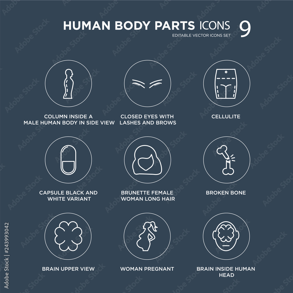 9 Column inside a male human body in side view, Closed eyes with lashes and brows, Brain upper Broken bone modern icons on black background, vector illustration, eps10, trendy icon set. 9 Column inside a male human body in side view, Closed eyes with lashes and brows, Brain upper Broken bone modern icons on black background, vector illustration, eps10, trendy icon set.