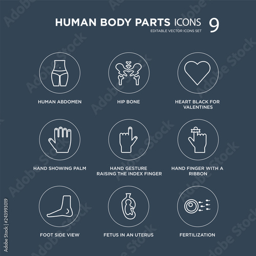 9 Human Abdomen, Hip Bone, Foot side view, Hand finger with a ribbon, gesture raising the index modern icons on black background, vector illustration, eps10, trendy icon set.
