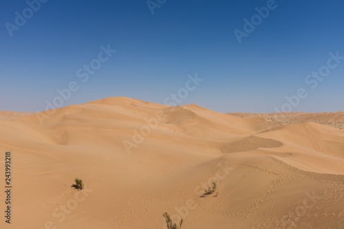 The Empty Quarter desert  Oman