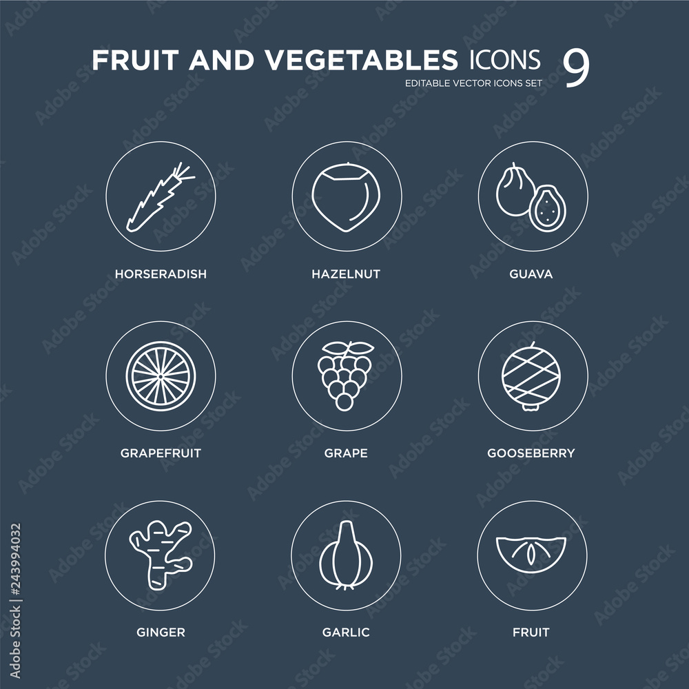 Fototapeta premium 9 Horseradish, Hazelnut, Ginger, Gooseberry, Grape, Guava, Grapefruit, Garlic modern icons on black background, vector illustration, eps10, trendy icon set.