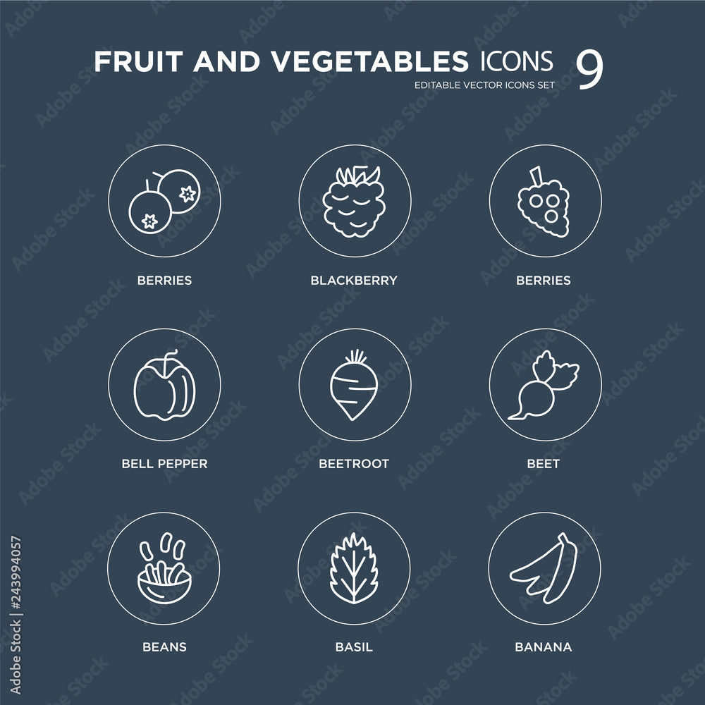 9 berries, Blackberry, Beans, Beet, Beetroot, Berries, Bell pepper, Basil modern icons on black background, vector illustration, eps10, trendy icon set.