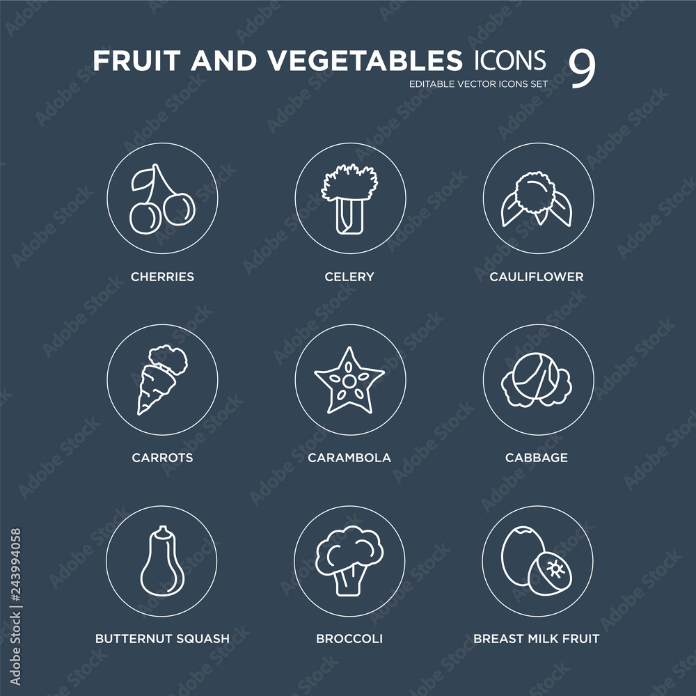 9 Cherries, Celery, Butternut squash, Cabbage, Carambola, Cauliflower, Carrots, Broccoli modern icons on black background, vector illustration, eps10, trendy icon set. 9 Cherries, Celery, Butternut squash, Cabbage, Carambola, Cauliflower, Carrots, Broccoli modern icons on black background, vector illustration, eps10, trendy icon set.