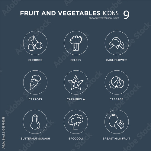 9 Cherries, Celery, Butternut squash, Cabbage, Carambola, Cauliflower, Carrots, Broccoli modern icons on black background, vector illustration, eps10, trendy icon set.