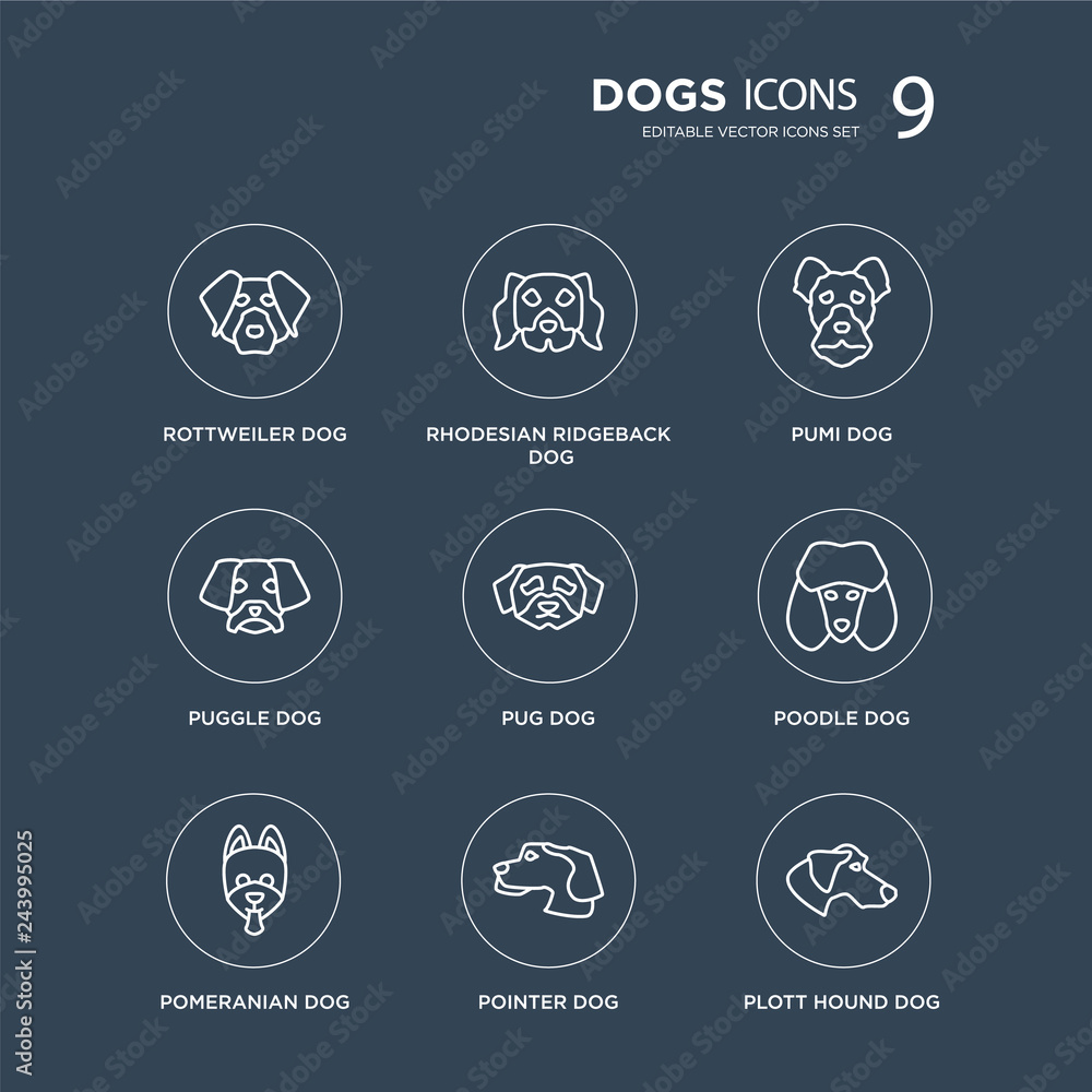 Obraz premium 9 Rottweiler dog, Rhodesian Ridgeback Pomeranian Poodle Pug Pumi Puggle Pointer dog modern icons on black background, vector illustration, eps10, trendy icon set.
