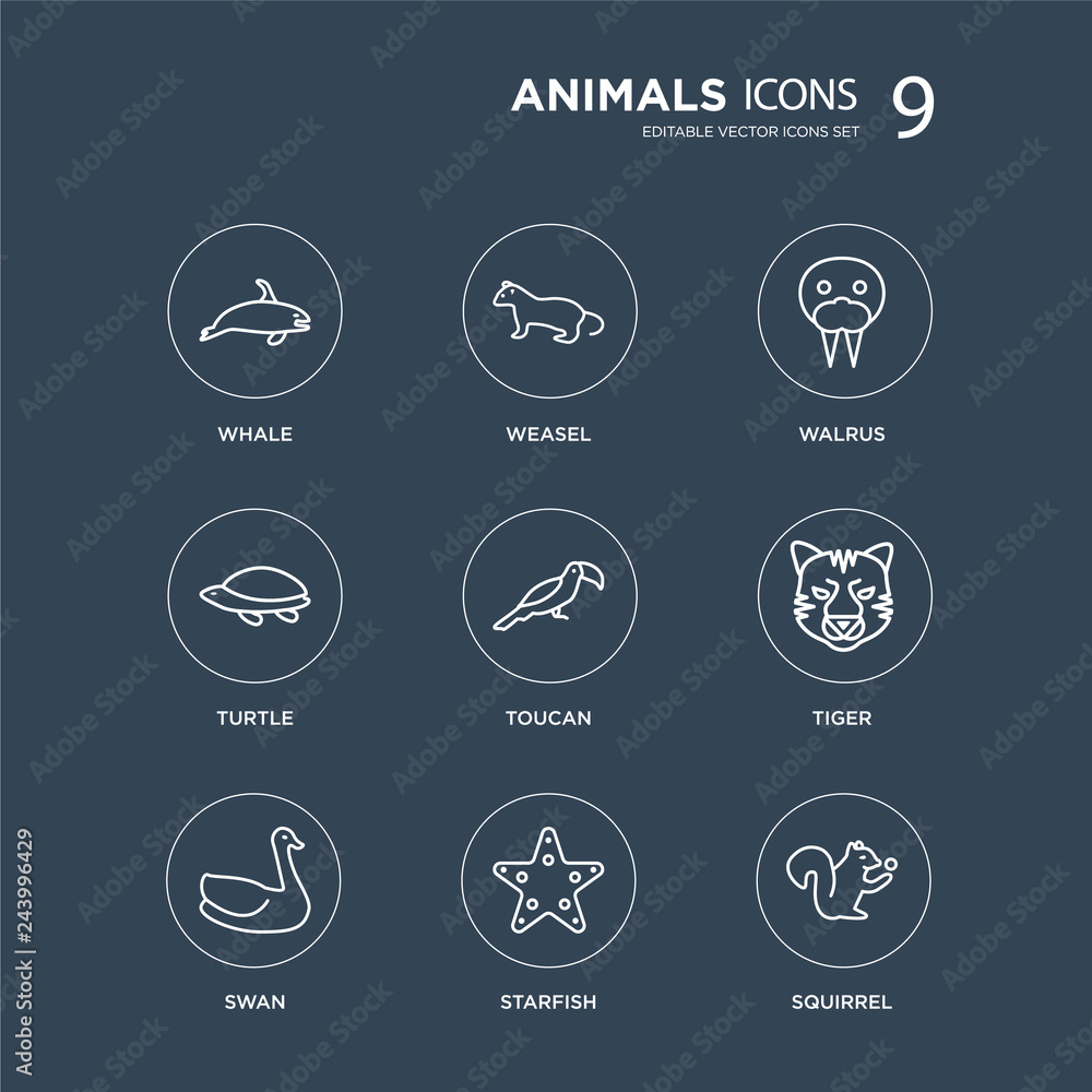 9 Whale, weasel, Swan, Tiger, Toucan, Walrus, Turtle, Starfish modern icons on black background, vector illustration, eps10, trendy icon set. 9 Whale, weasel, Swan, Tiger, Toucan, Walrus, Turtle, Starfish modern icons on black background, vector illustration, eps10, trendy icon set.