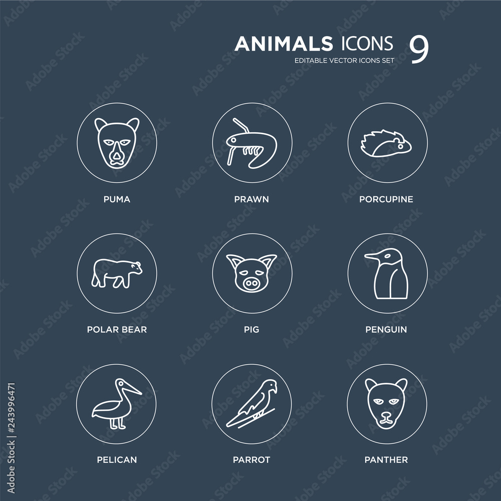 9 puma, Prawn, Pelican, Penguin, Pig, porcupine, Polar bear, Parrot modern icons on black background, vector illustration, eps10, trendy icon set. 9 puma, Prawn, Pelican, Penguin, Pig, porcupine, Polar bear, Parrot modern icons on black background, vector illustration, eps10, trendy icon set.