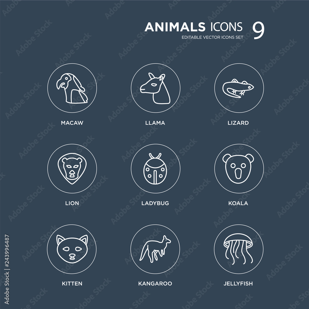 9 Macaw, Llama, kitten, Koala, Ladybug, Lizard, Lion, Kangaroo modern icons on black background, vector illustration, eps10, trendy icon set.