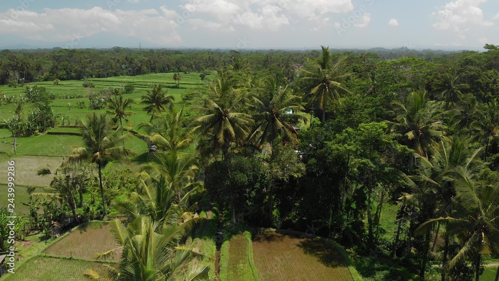 4K aerial view of beautiful tropical landscape. Bali island.