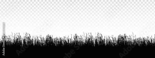 Seamless realistic illustration of a grass stalk or lawn, isolated on a transparent background, vector