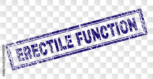 ERECTILE FUNCTION stamp seal imprint with rubber print style and double framed rectangle shape. Stamp is placed on a transparent background.