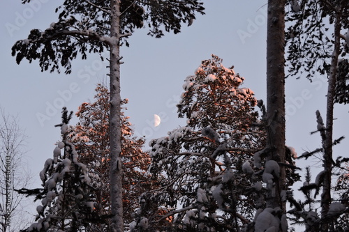 moon