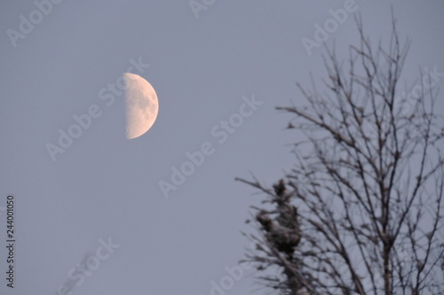 moon