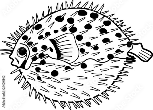 Blow Fish Vector Illustration