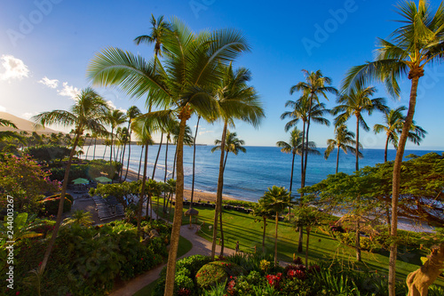 lahaina beach view