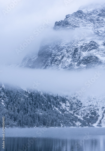 winter mountain landscape with trees and snow © Alina