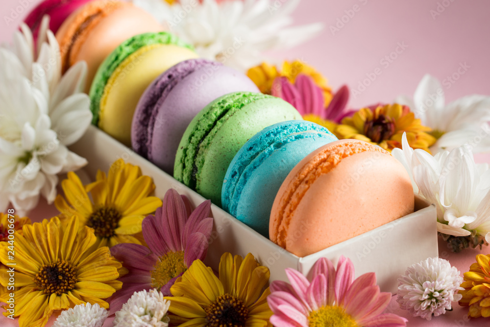 Still life and food photo of cake macarons in a gift box with flowers, a cup of tea on light background. Sweets and desserts concept of macaroons. Still life and food photo of cake macarons in a gift box with flowers, a cup of tea on light background. Sweets and desserts concept of macaroons.