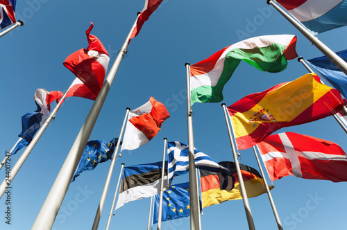 Flaggen international