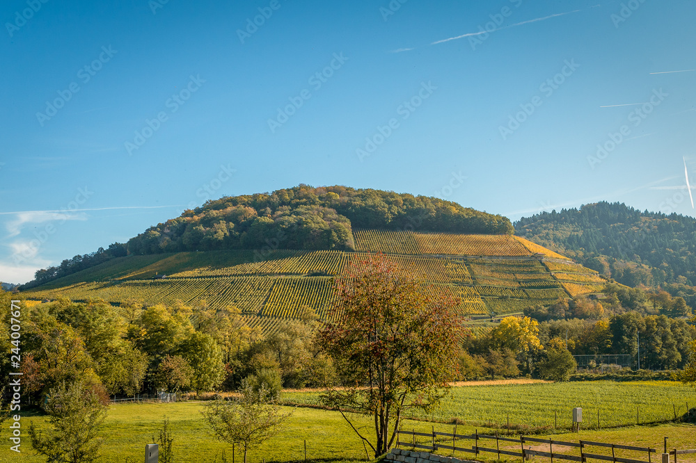 Obraz premium Castellberg bei Sulzburg im Markgräflerland