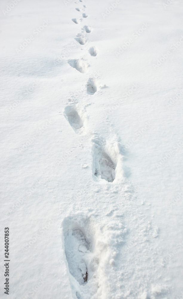 Lots of footsteps on the snow Lots of footsteps on the snow