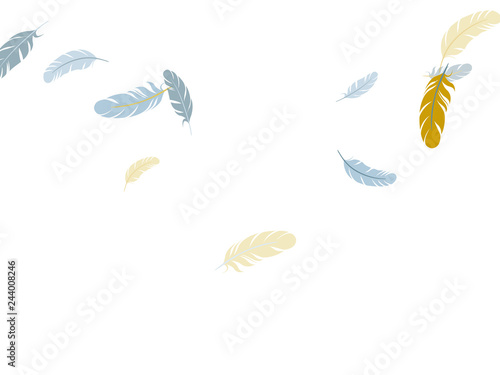 Falling feather elements soft vector design.