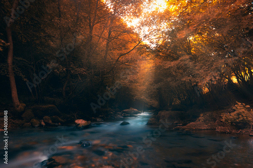 paysage d'automne