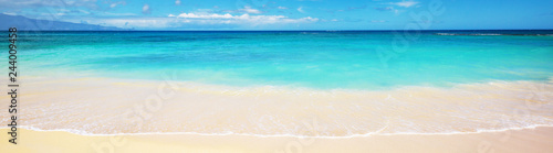 Canvas Print Hawaiian beach
