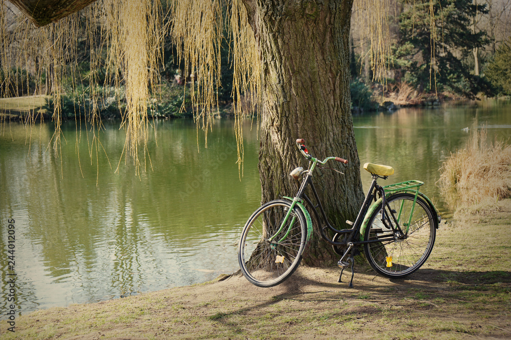 old bike standing beneath weeping willow tree at a lake with retro filter                             