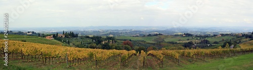 Panorámica de los Viñedos de San Gimignano en La Toscana, Italia.