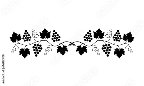 Vector illustration. Black outline (contour) of crossed grape branches with leaves isolated on white background. Decorative design element for wine menu as border for text divider and page decoration.