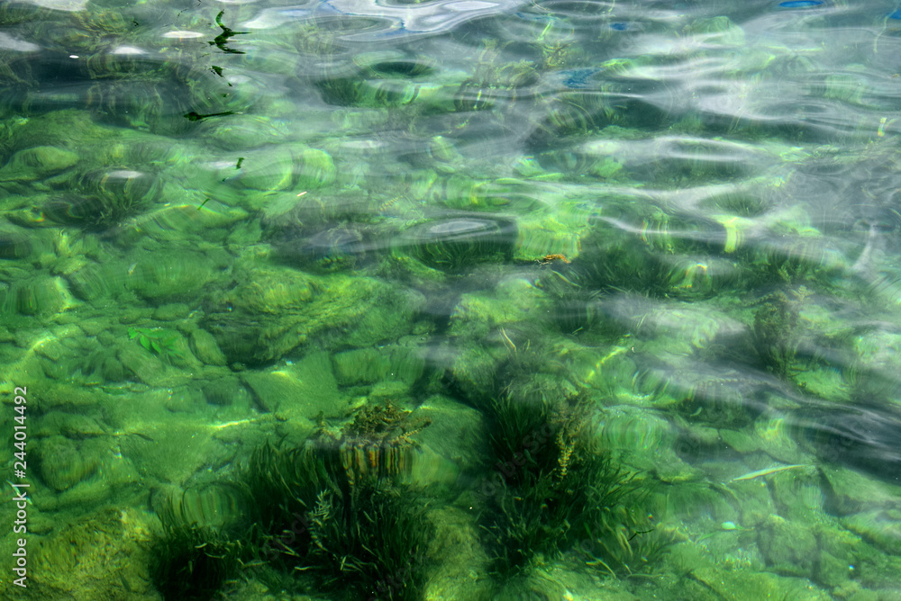 Fototapeta premium Lake Ohrid (Macedonia, Albania) - Into the water