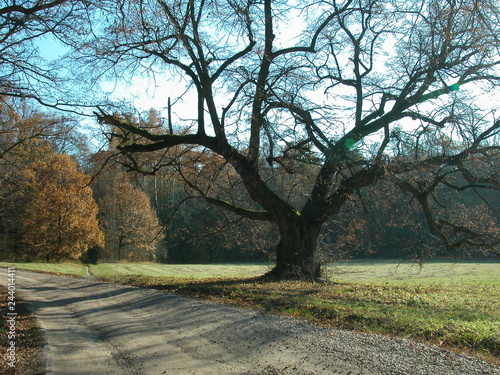 Szczebrzeszyn photo