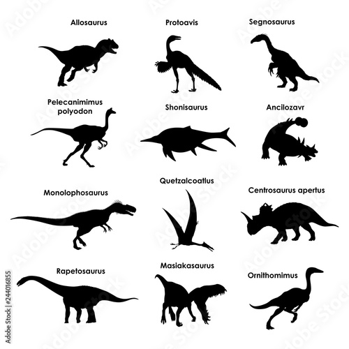 Dinosaur Silhouettes