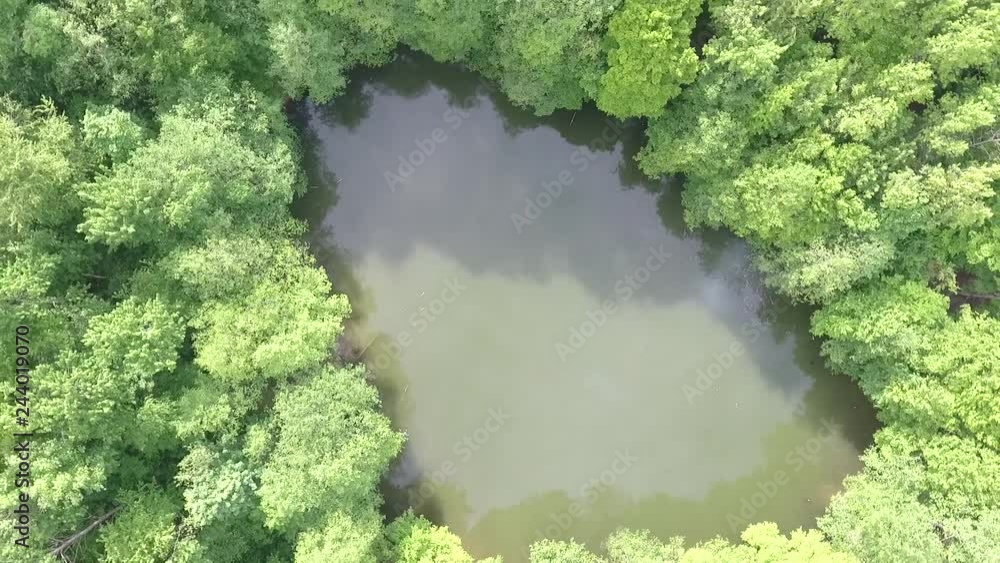 Wild lake surrounded by forest Wild lake surrounded by forest