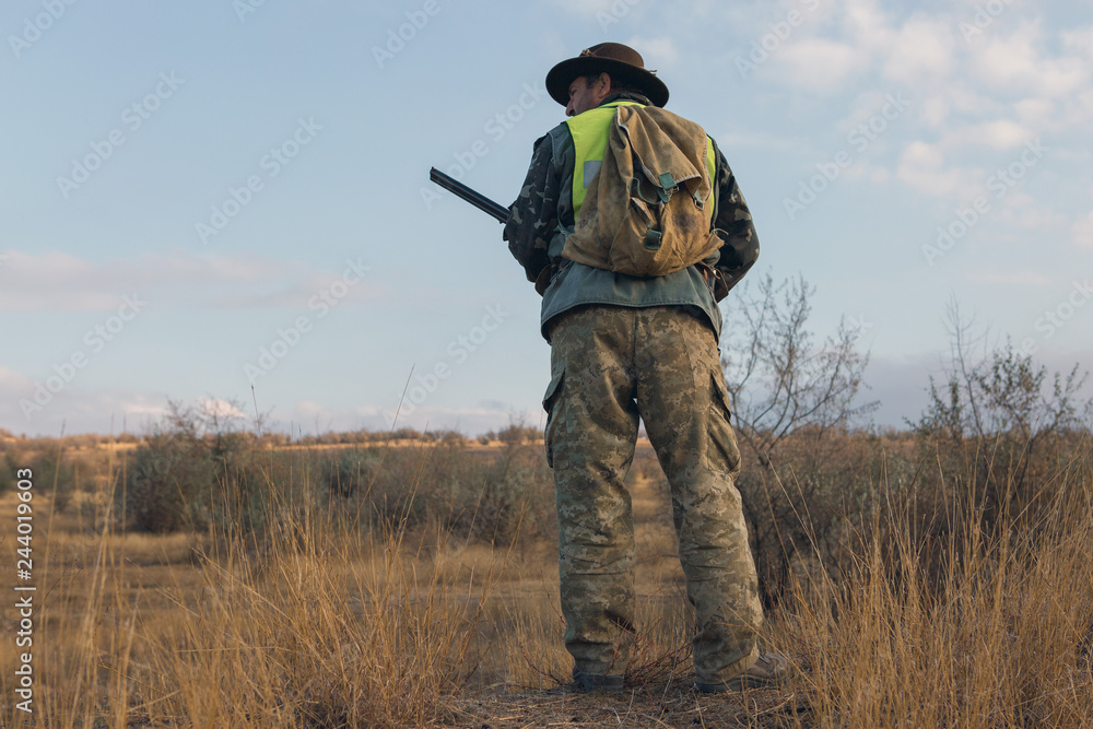 Hunter with a german drathaar and spaniel, pigeon hunting with dogs in reflective vests Hunter with a german drathaar and spaniel, pigeon hunting with dogs in reflective vests