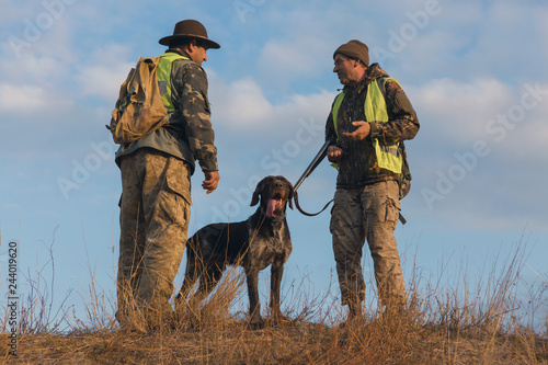 Hunters with a german drathaar and spaniel, pigeon hunting with dogs in reflective vests