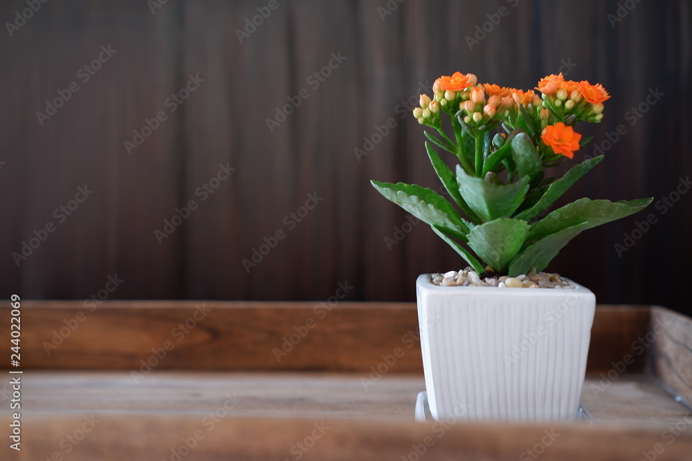 Fototapeta premium wood and flower copy space