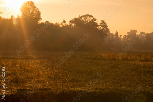 Landscape of sunrise in agriculture field.