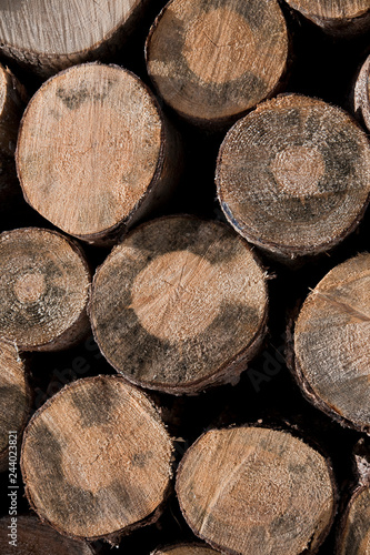 group of wooden logs for bonfire