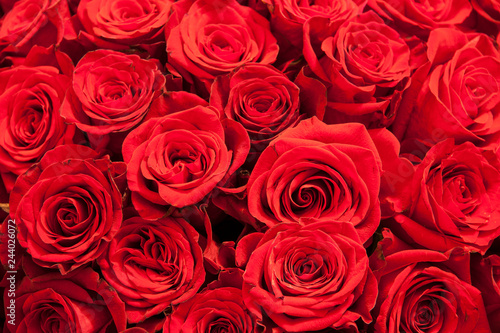 Fototapeta Naklejka Na Ścianę i Meble -  Romantic background of a bouquet of red